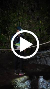 BIB:  <button type="button" onclick="openModal(27708593)" class="btn btn-primary btn-sm float-right" data-toggle="modal" data-target=".modal-high-quality">
                <i class="fa fa-download"></i> Download
                </button>